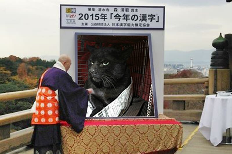 うさぎとぼくの今年の漢字 2015