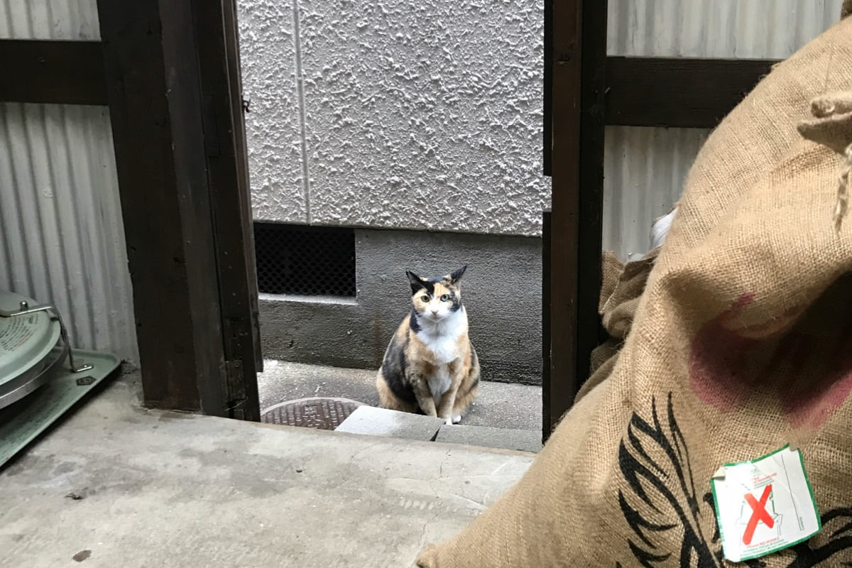 お店としての発信よりも他の人の発信を意識するほうが大切になってきているなぁ…と