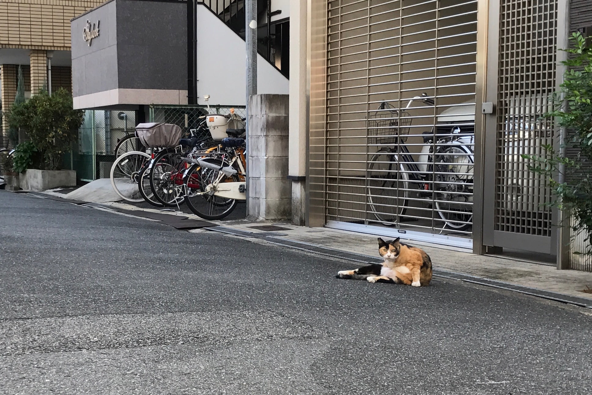 情報が溢れすぎて、知りたい情報を取りこぼすようになってきました