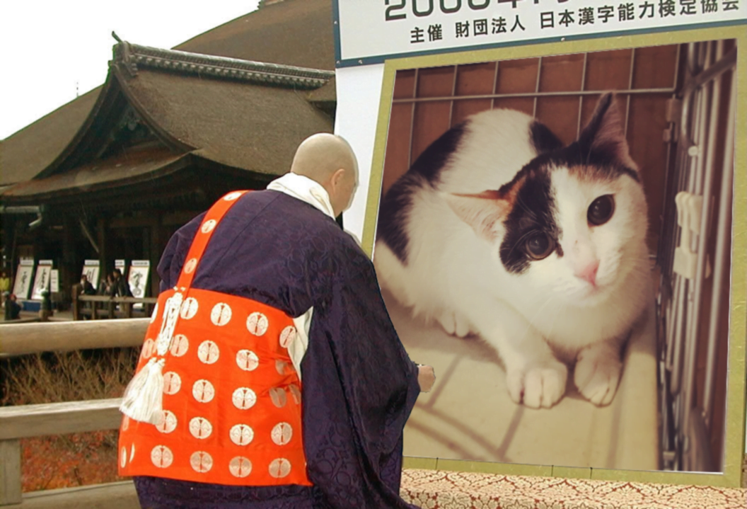 うさぎとぼくの今年の漢字、2016年は「動」