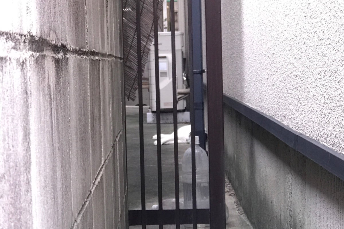 うさぎとぼくでは、どんなお店でも紹介するわけでもなく一定の基準を持って紹介していますよという話