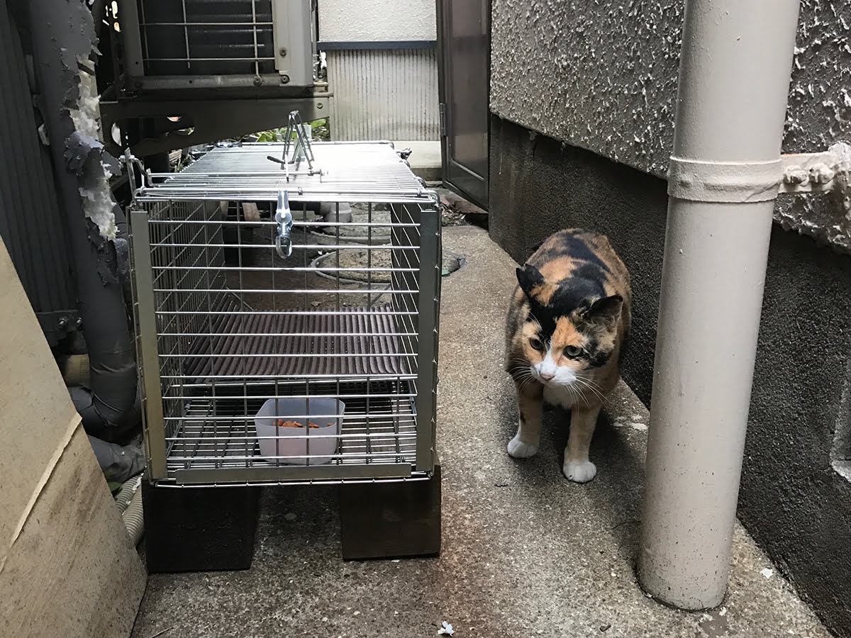 巨匠ウワグチタカキヨ ミニ写真展、ジェラート屋オオジにて