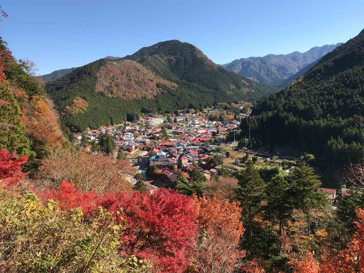 【お知らせ】季節のブレンドが秋に変わりました 2020秋唄